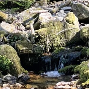 petit ruisseau