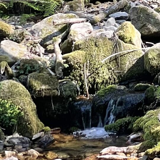 petit ruisseau