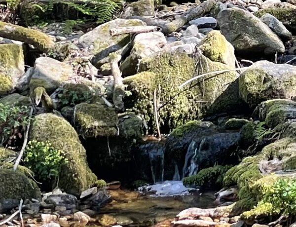 petit ruisseau